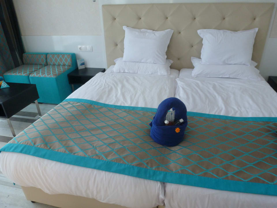 Zimmer Sentido Marea