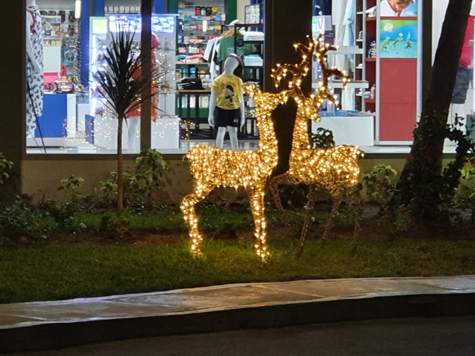 Sonstiges Hotel Riu Tequila