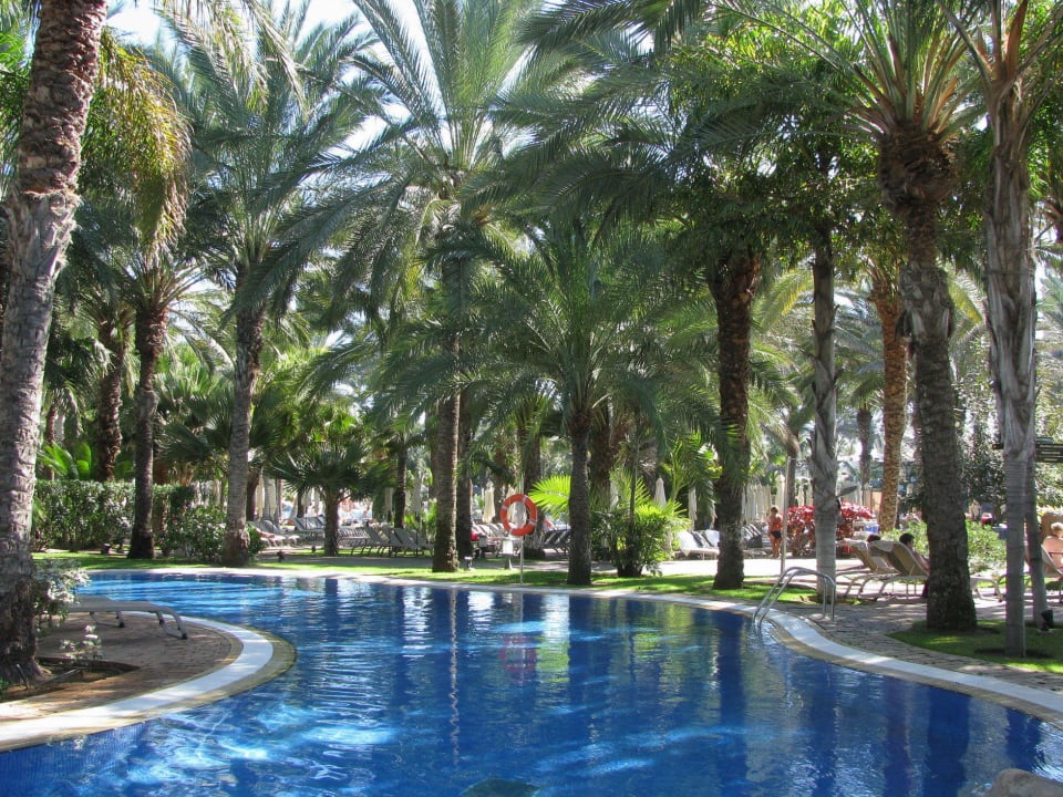 Palmen und Poolanlagen Lopesan Costa Meloneras, Resort & Spa