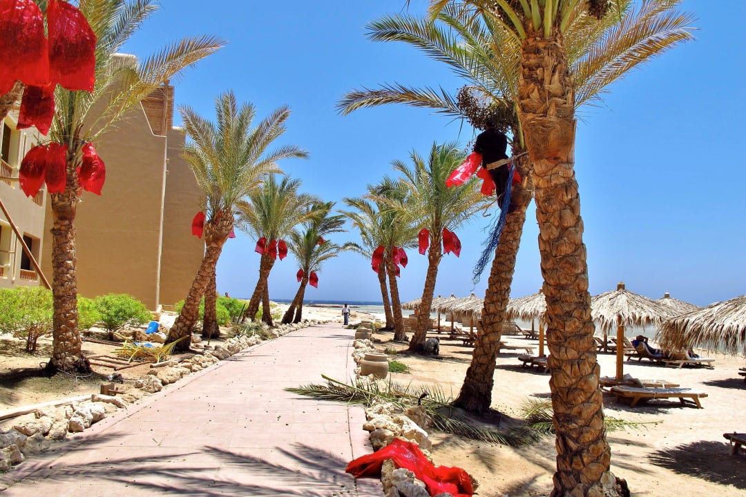 Dattelernte The Breakers Diving & Surfing Lodge