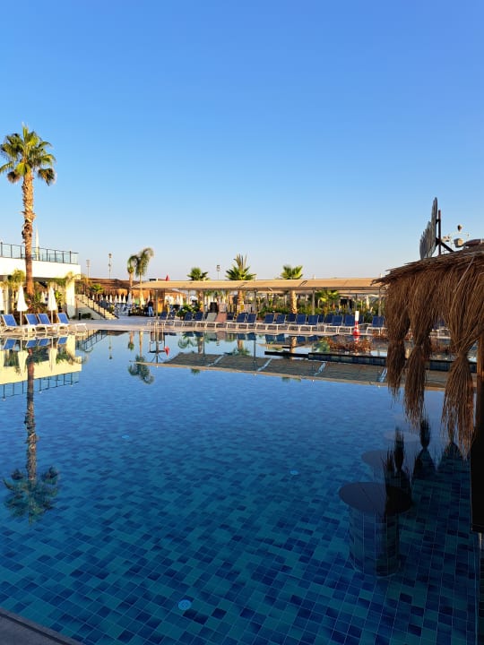 Pool Dream Water World