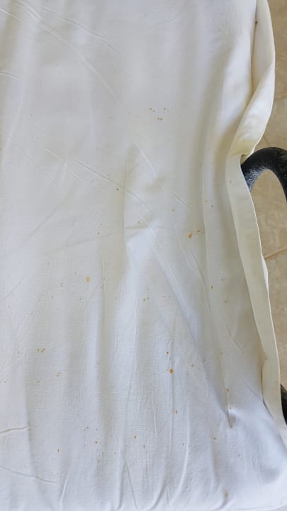 Zimmer Paradisus Princesa del Mar Resort & Spa - Adults only