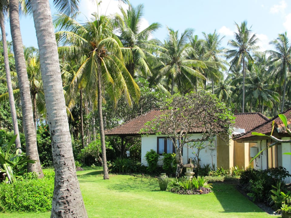 Bungalows mit jeweils 2 Zimmer Lotus Bungalow