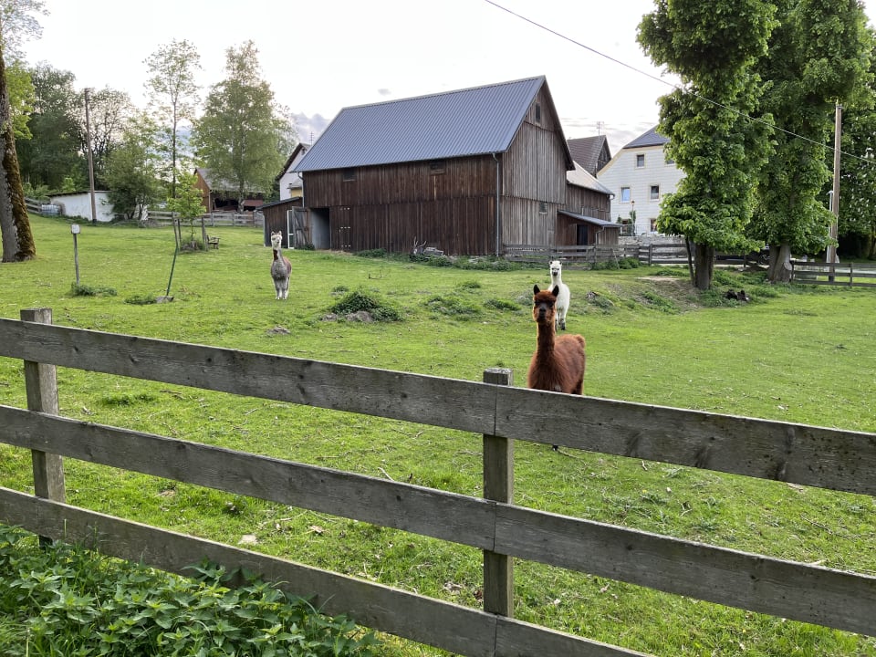 Gartenanlage Gasthof-Pension Walther