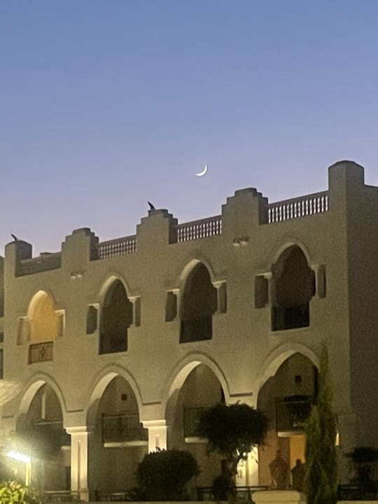 Ausblick Pickalbatros Palace Hotel-Port Ghalib