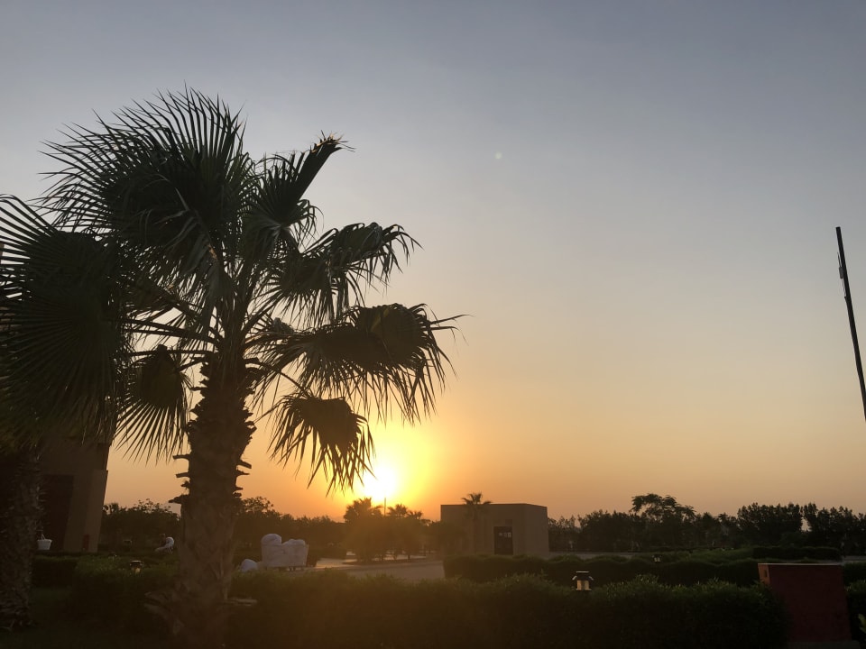 Ausblick Lemon & Soul Makadi Garden