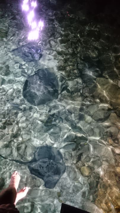 Strand Adaaran Select Meedhupparu Island Resort - Premium All Inclusive