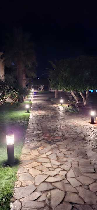 Gartenanlage allsun Hotel Malia Beach