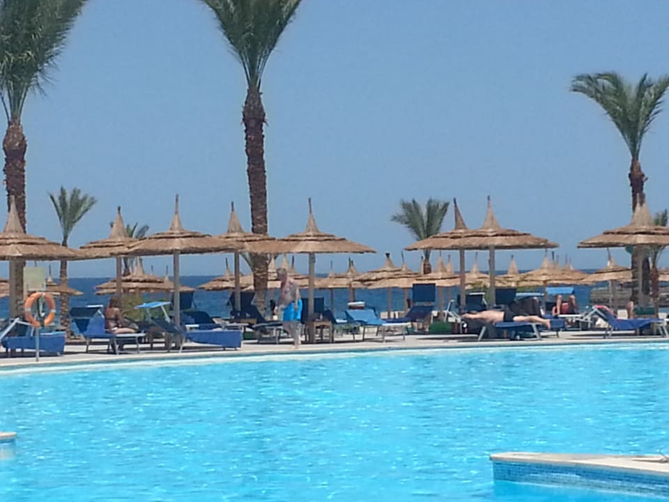 Pool Beach Albatros Resort