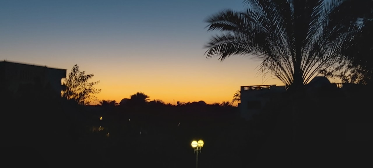 Ausblick Desert Rose