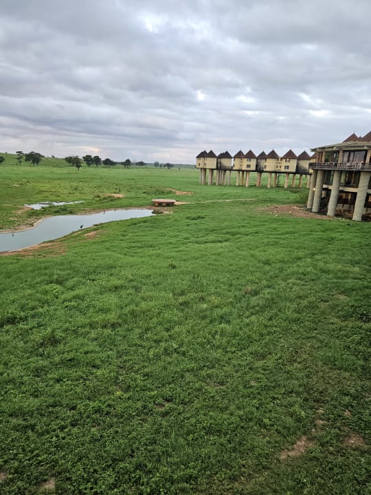 Zimmer Salt Lick Safari Lodge