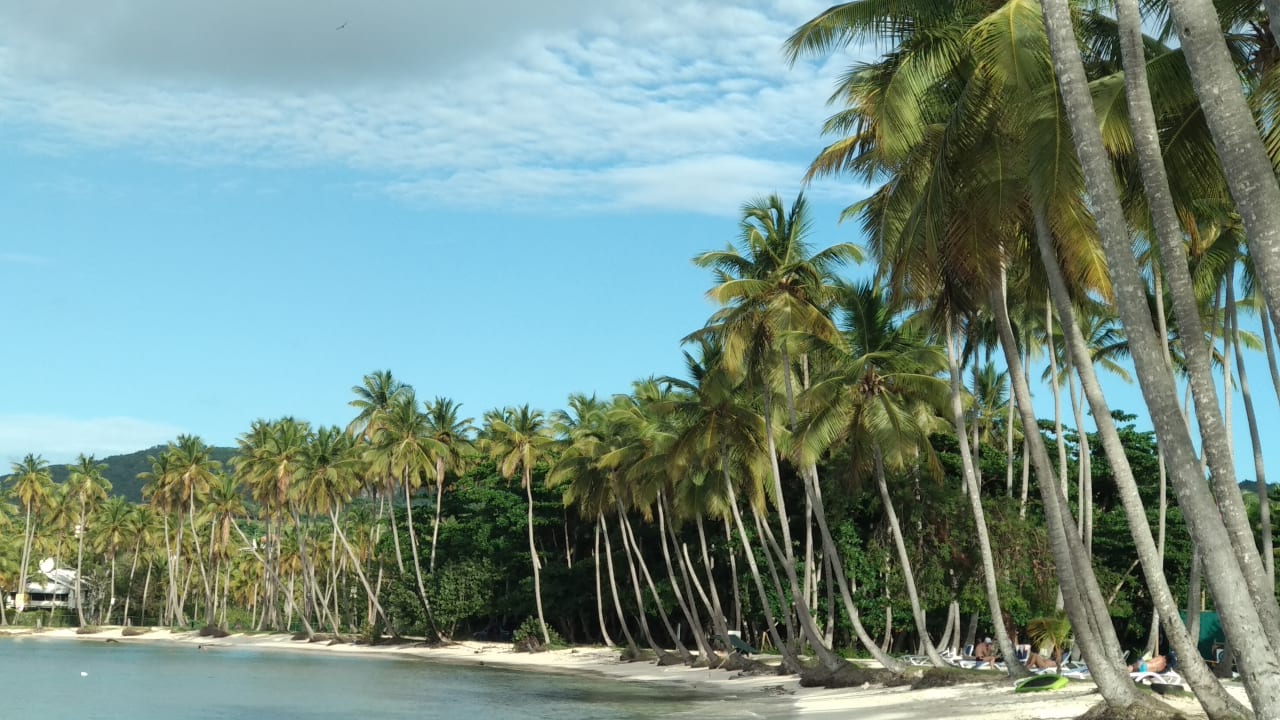 Strand Wyndham Alltra Samana