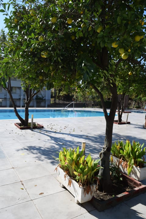 Pool Armas Gül Beach