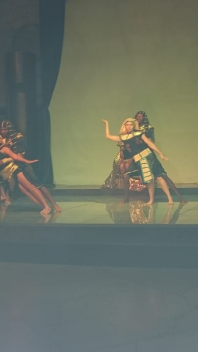 Animation Pickalbatros Citadel Resort