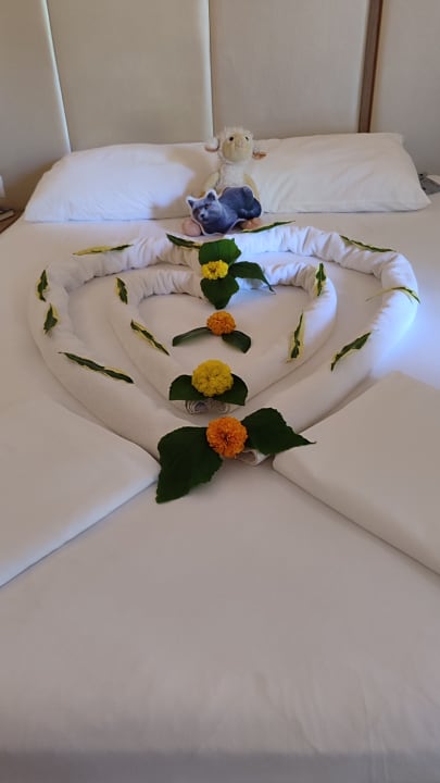 Zimmer Botanik Hotel & Resort