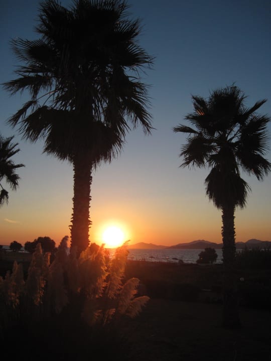 ...und das jeden Tag... Costa Angela Seaside Resort