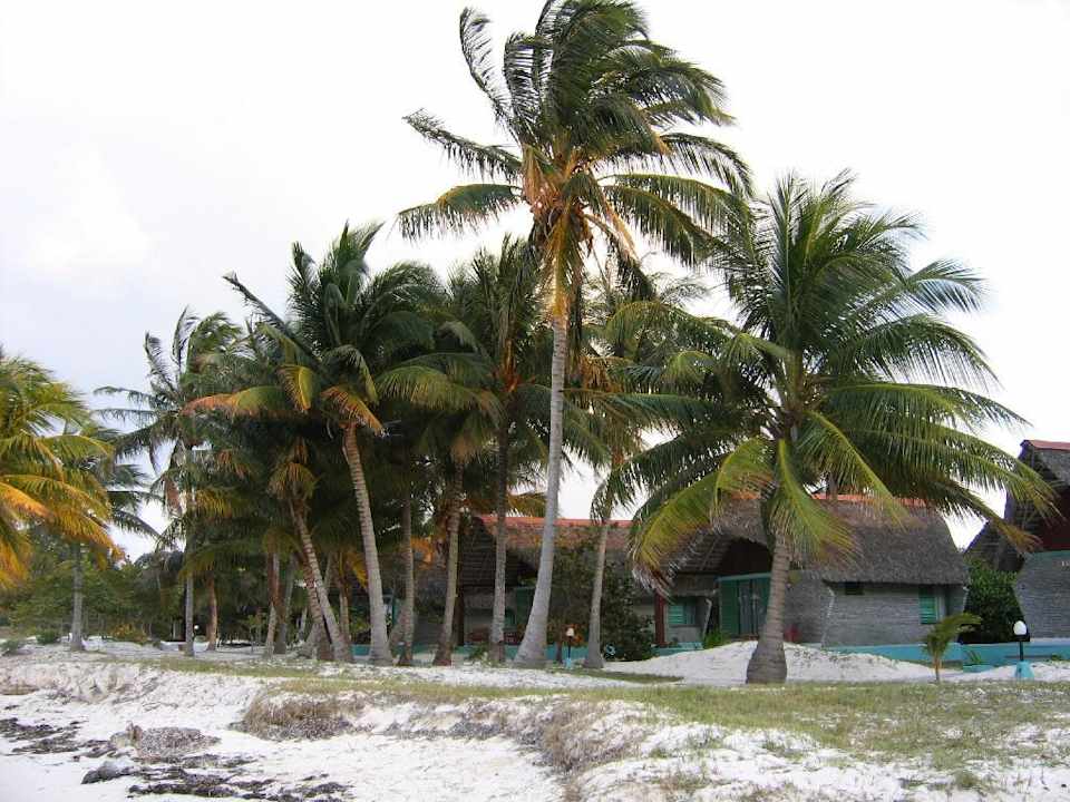 Hotelanlage vom Strand aus Cayo Levisa