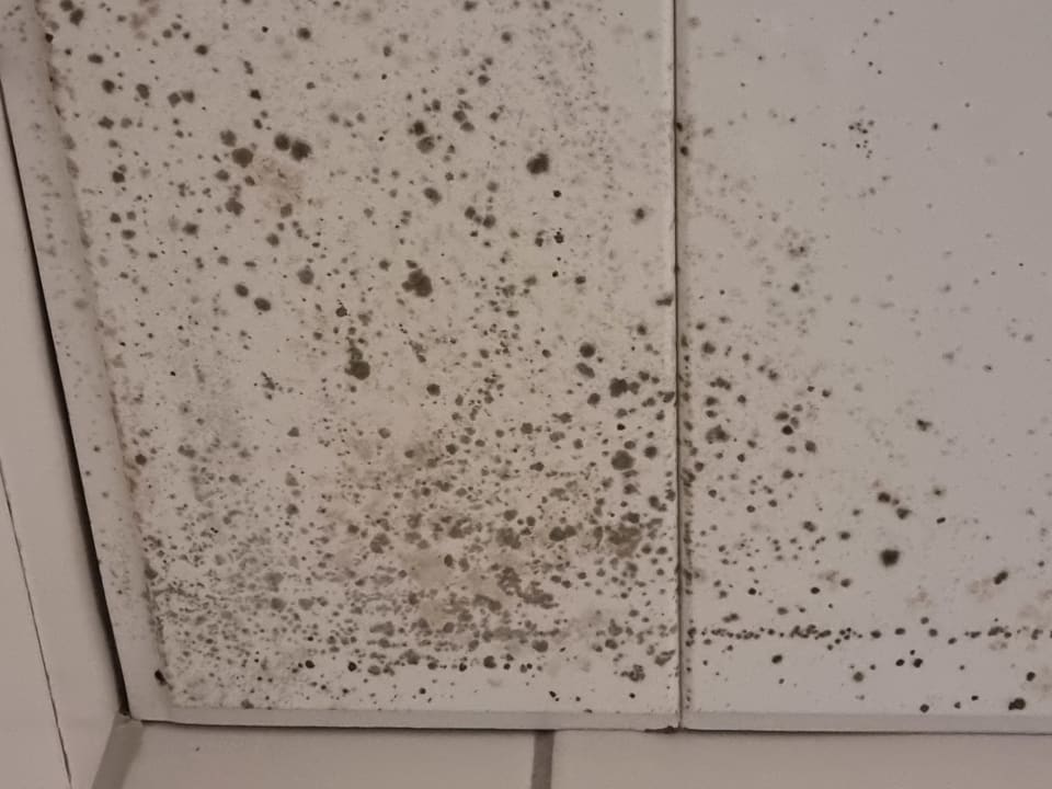 Zimmer otto - bed & breakfast