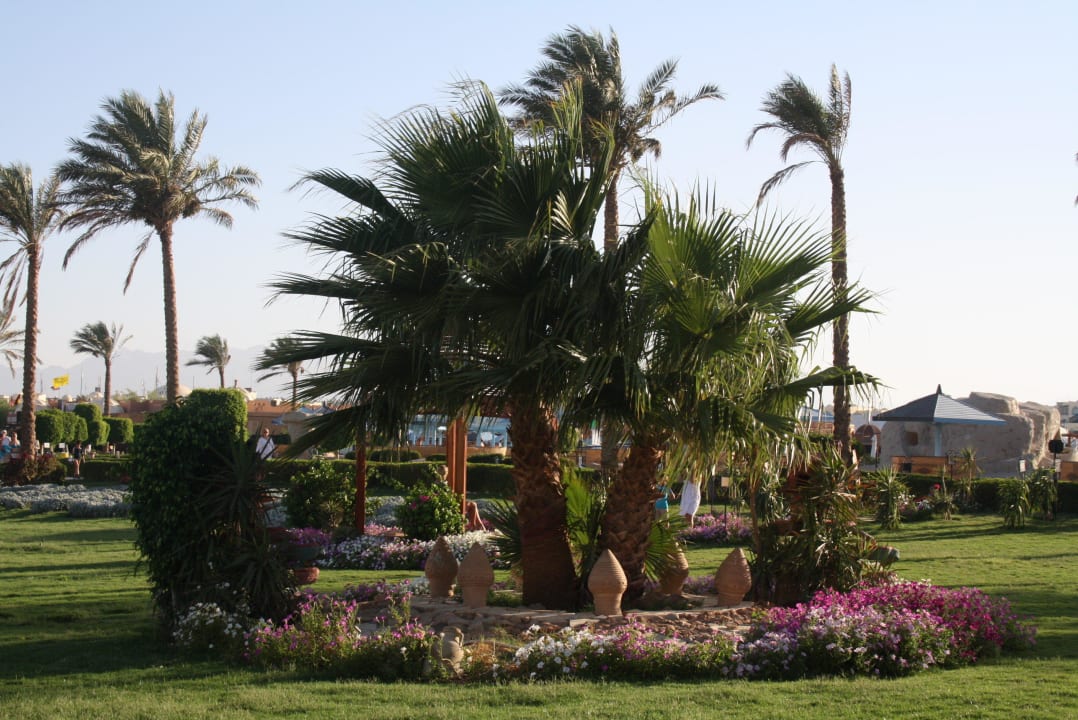 Garten SUNRISE Royal Makadi Resort
