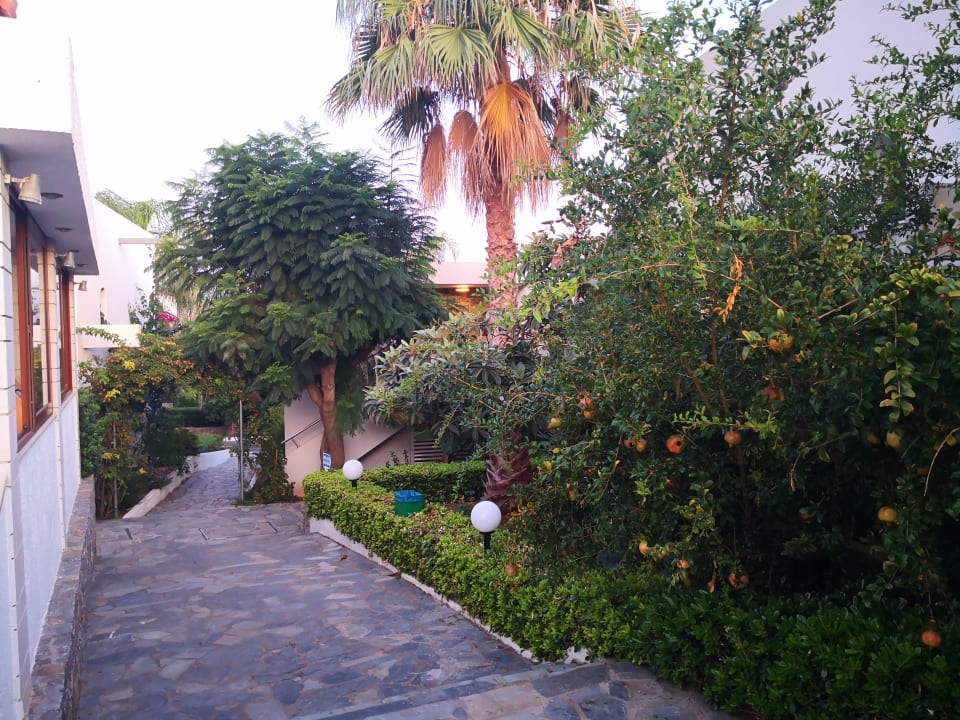 Gartenanlage Sentido Kyknos Beach Adults Only 16+