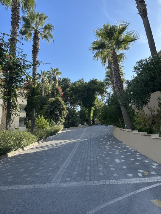 Gartenanlage Club Sidelya Hotel