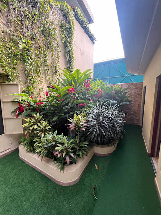 Gartenanlage Barceló San Salvador