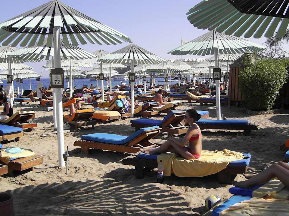 Liegen-Schirme Ghazala Gardens