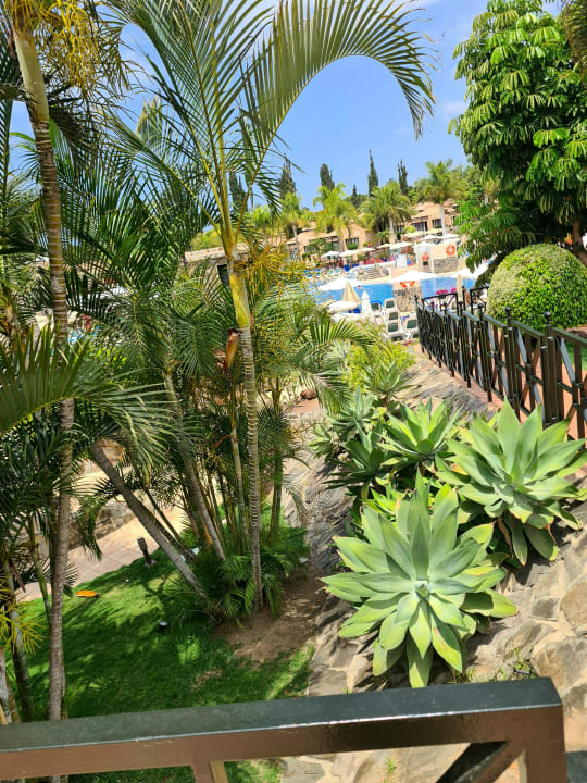 Pool allsun Hotel Esplendido