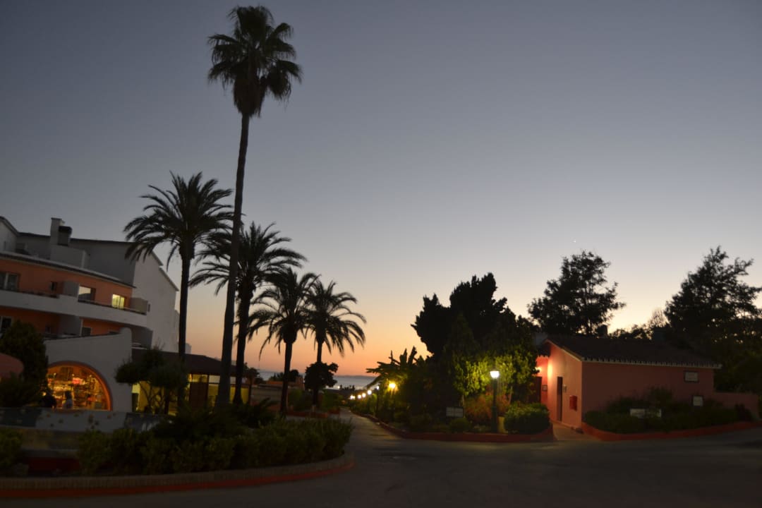 "Sunset on the garden" Hotel Marbella Playa (Marbella) • HolidayCheck