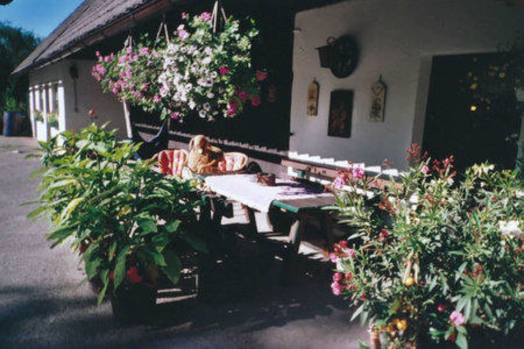 Feiern im Garten  Lacknerhof