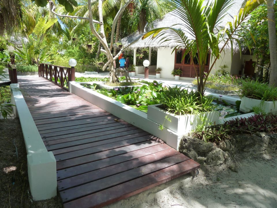 Teich mit Brücke Angaga Island Resort