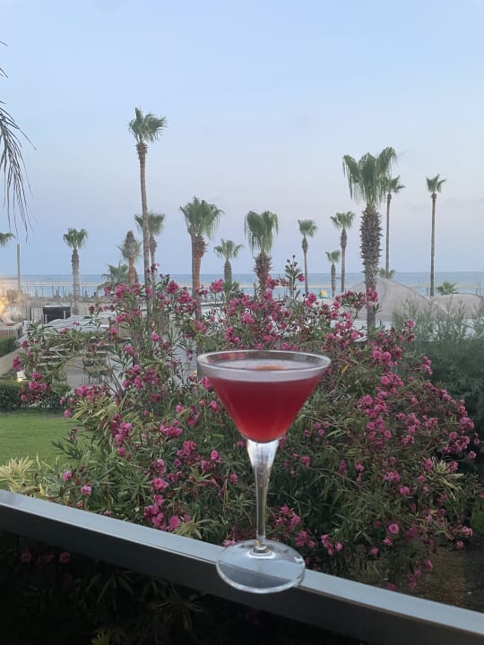 Ausblick TUI BLUE Palm Garden