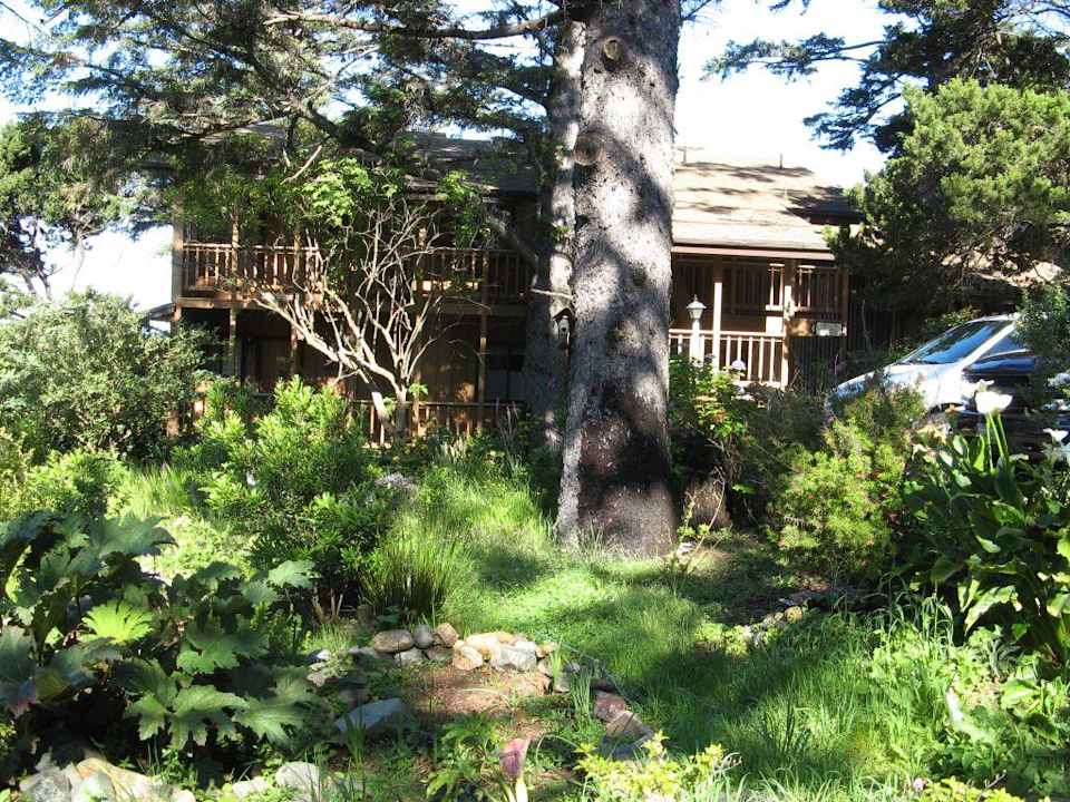 Ireland's Rustic Lodges in Gold Beach, Oregon Hotel Ireland's Rustic Lodges