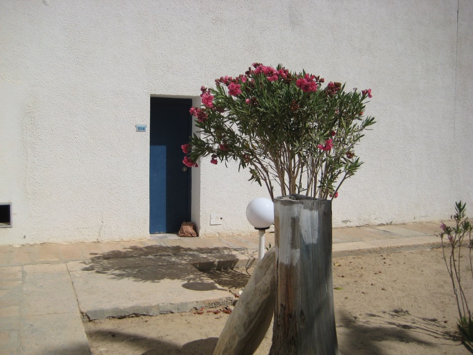 Innenhof von Menzels Hotel El Mouradi Djerba Menzel