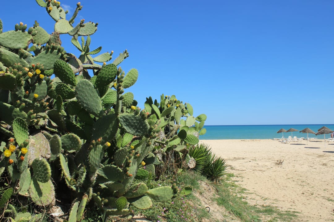 Strand Nozha Beach Resort & Spa