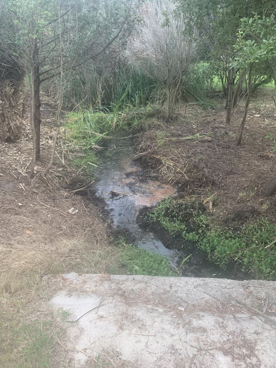 Gartenanlage Grande Baia Resort & Spa