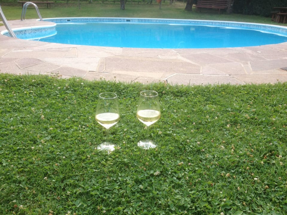 Hotelpool im großzügigen Garten Hotel & Residence Traubenheim