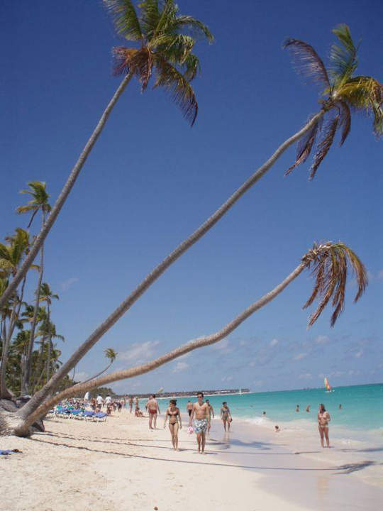 Traumhafte Palmen Hotel Grand Palladium Palace Resort, Spa & Casino