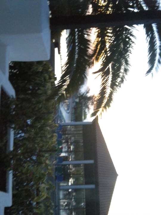 Blick vom Balkon TUI MAGIC LIFE Fuerteventura