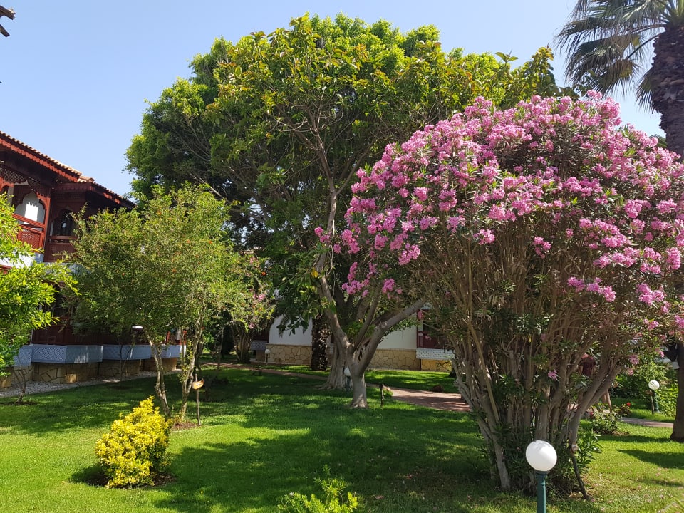 Gartenanlage Ali Bey Club