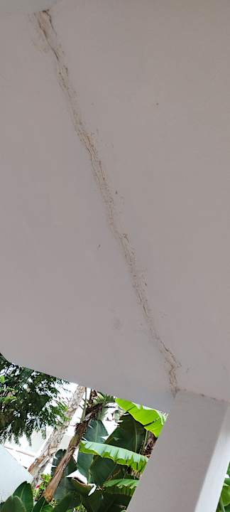 Gartenanlage Club Jandia Princess