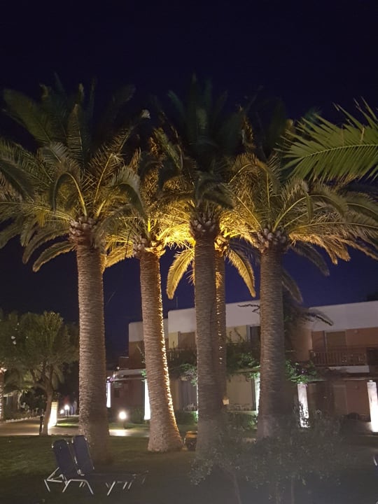 Gartenanlage Anissa Beach & Village