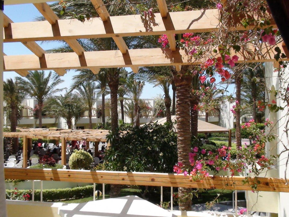 Blick vom Balkon Palm Beach Resort