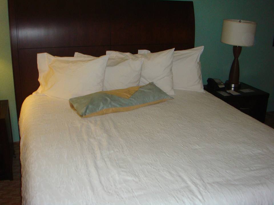 Hotel Hilton Garden Inn Gainesville Hotel Hilton Garden Inn Gainesville