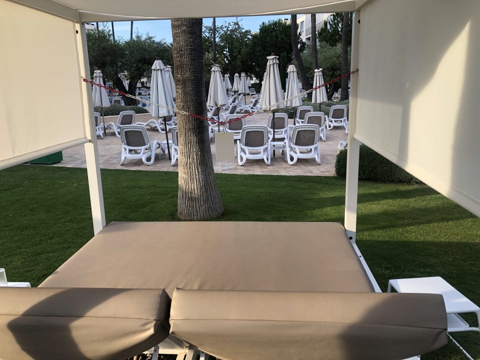 Gartenanlage Hipotels Said  Hotel