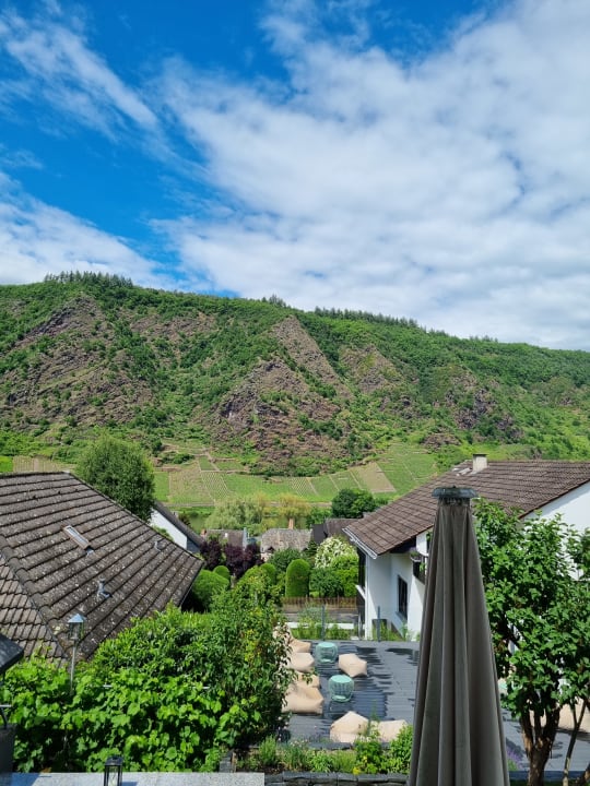 Ausblick Moselromantik Hotel Kessler-Meyer