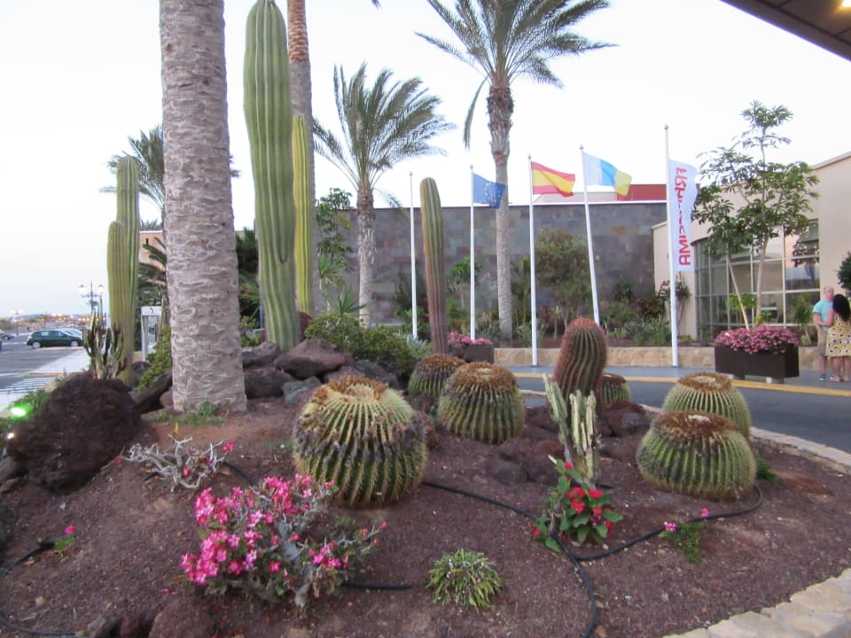 Empfang vor dem Hotel Elba Carlota Beach & Golf Resort