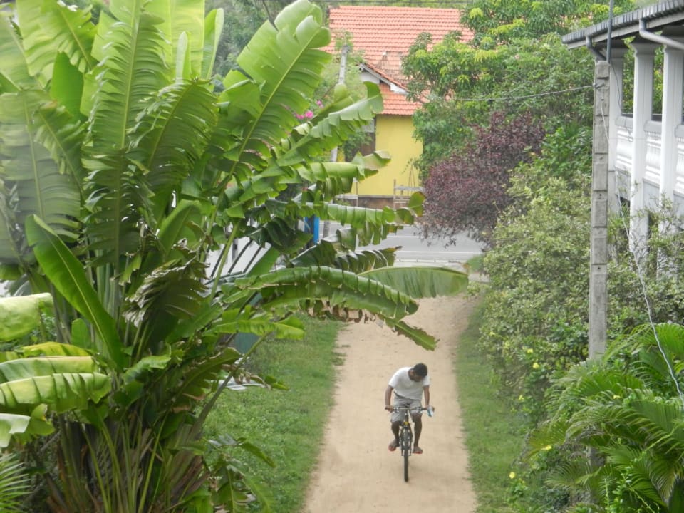 Blick zur Hauptstrasse mit viel Lärm Palm Beach Guesthouse