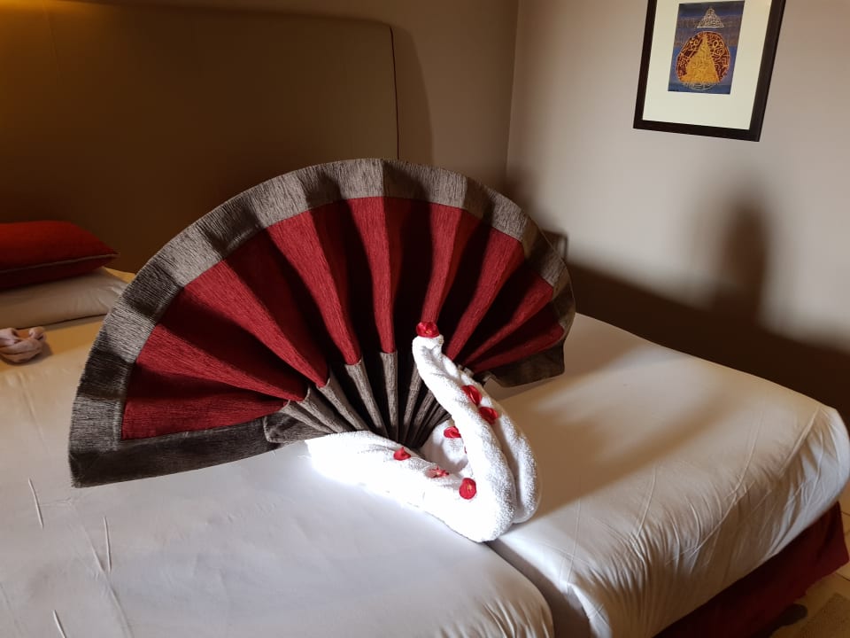 Zimmer Jaz Makadi Oasis Resort