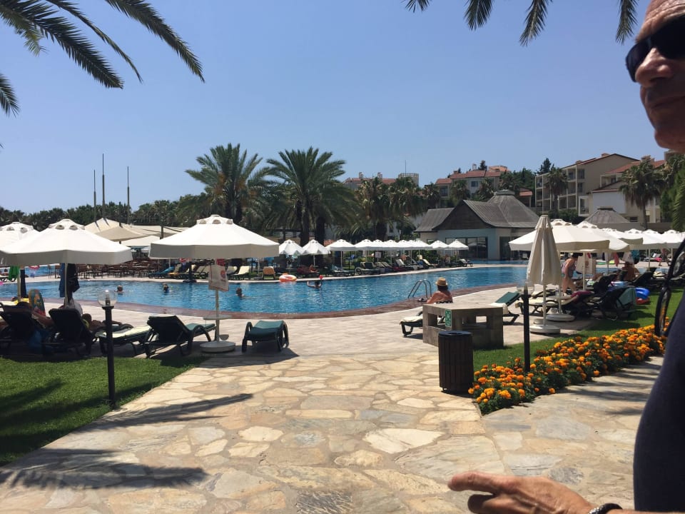 Am Swimmingpool Arum Barut Collection